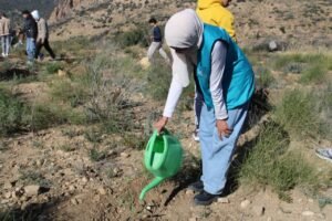 474858944 122178946586114412 205724251273605030 n