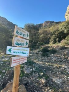 475107639 122179042898114412 4574566593624207836 n