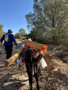 475224990 122179043288114412 6679212373007632811 n