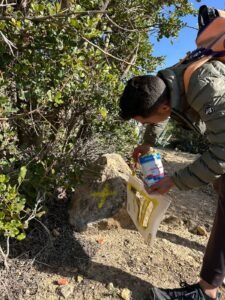 475334761 122179043486114412 3729441233818874848 n