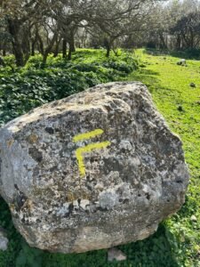 475336885 122179043282114412 7244386430627890287 n