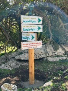 475375778 122179043132114412 708412323625997229 n