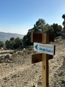 475439439 122179042982114412 3057847559419912276 n