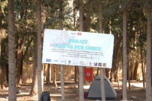 476369268 122180386112114412 7234659863306987692 n