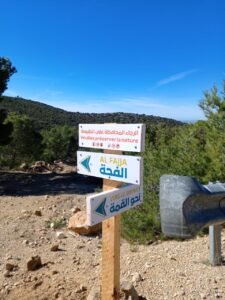 480882287 122182999886114412 6437897061933014551 n