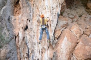 481046440 122182717352114412 441390526598248334 n