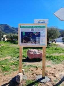 481080313 122182999814114412 4881627293307756220 n